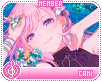mc-Cami