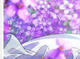 mikihoshii-springtimeouting16